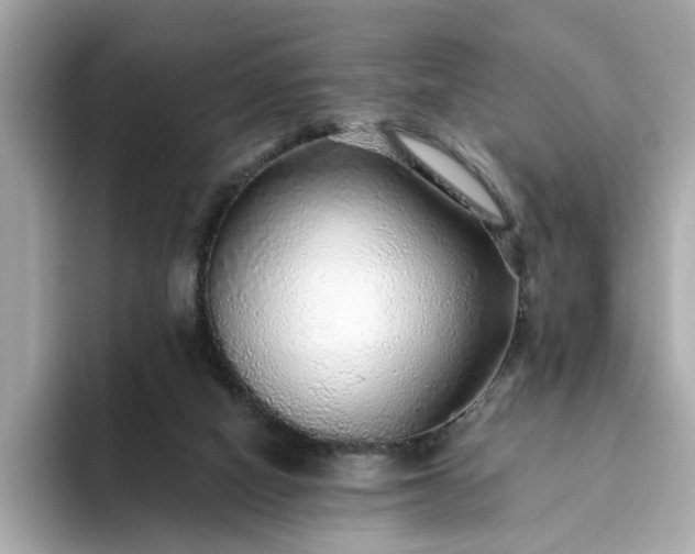 X0000093440066200710261049