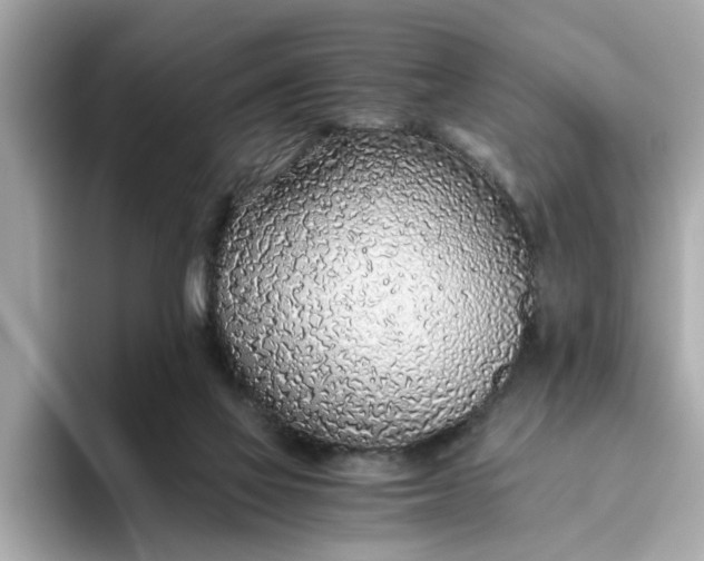 X0000093440069200710261049