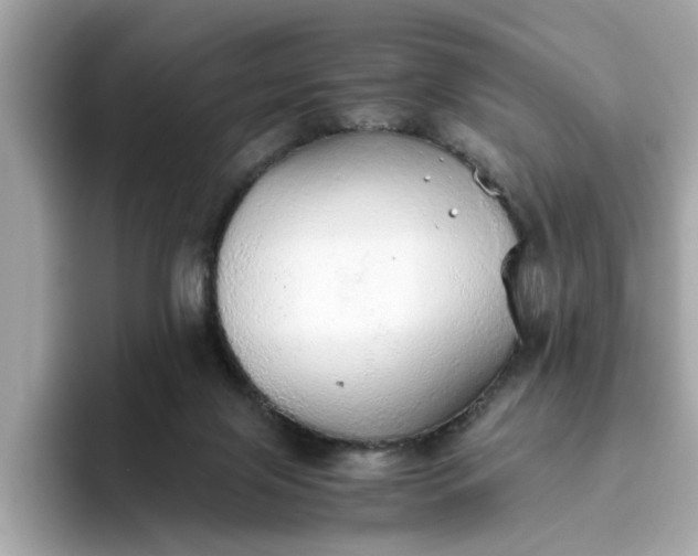 X0000093440071200710261049