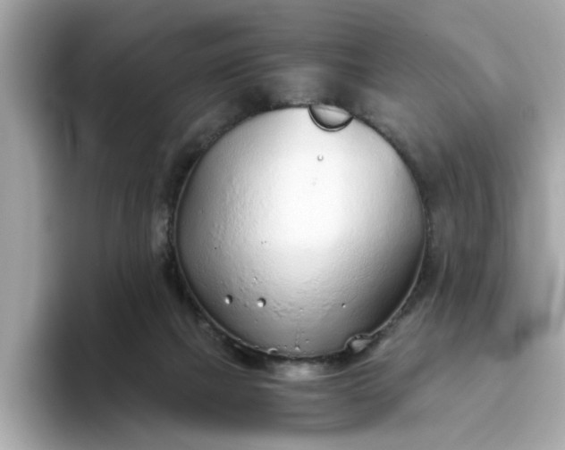 X0000093440073200710261049