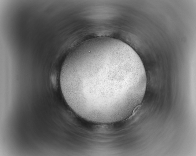 X0000093440074200710261049