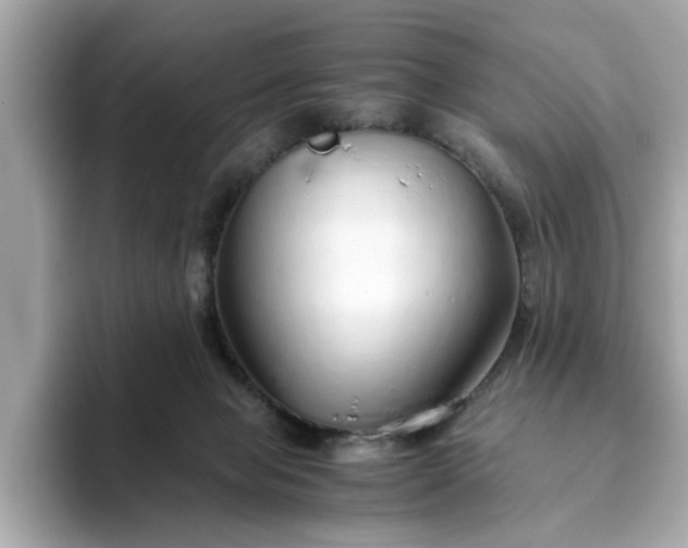 X0000093440077200710261049