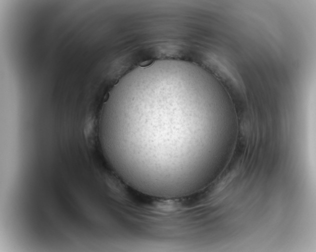 X0000093440079200710261049