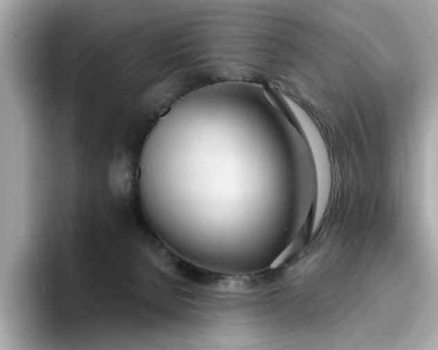 X0000093440080200710261049