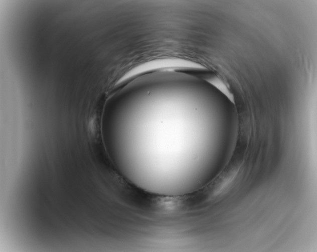 X0000093440088200710261049