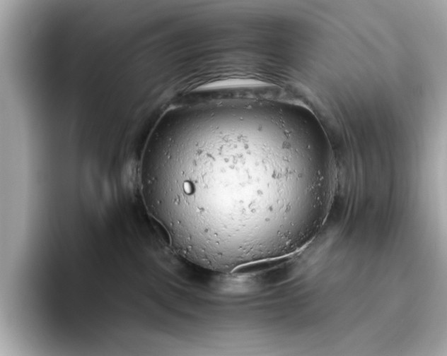 X0000093440093200710261049