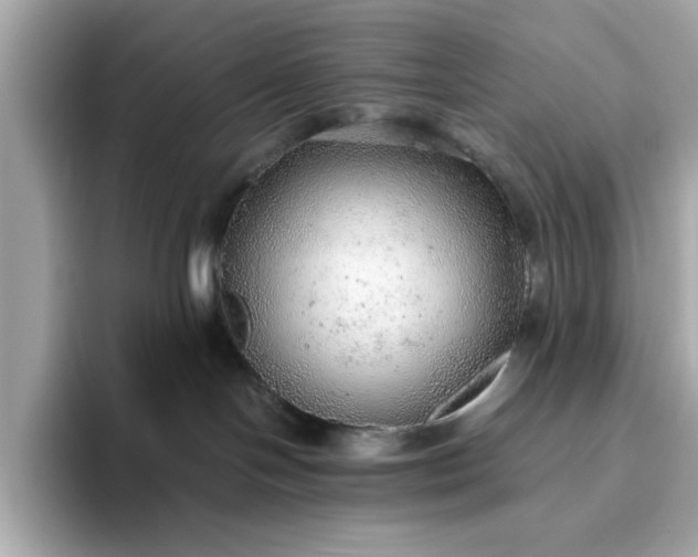 X0000093440094200710261049