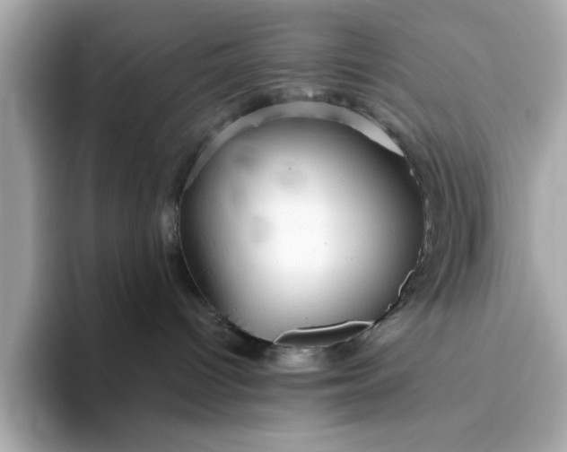 X0000093440096200710261049