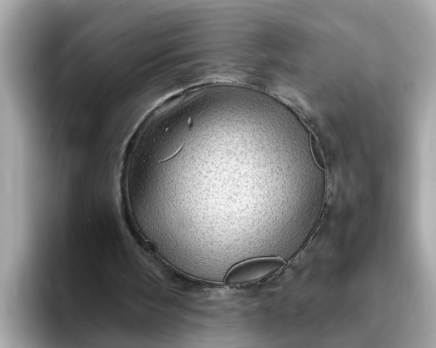 X0000093440098200710261049