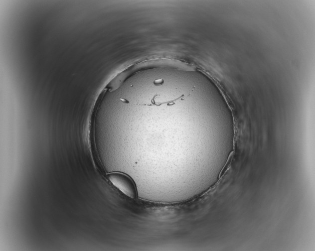 X0000093440100200710261049