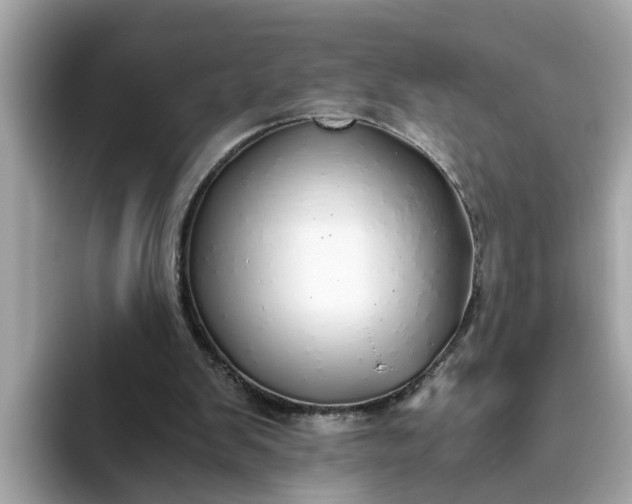 X0000093440103200710261049