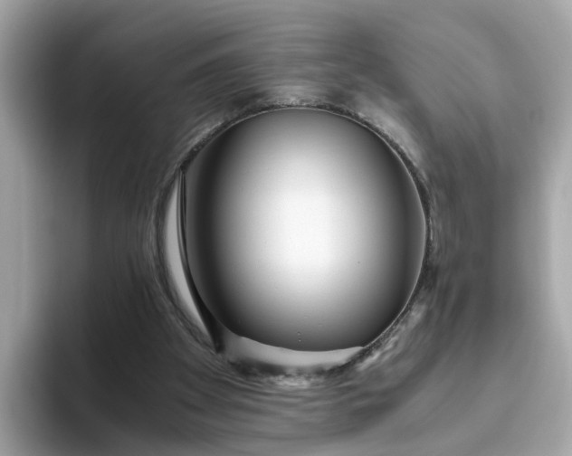 X0000093440105200710261049