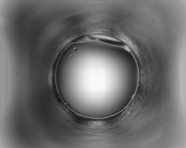 X0000093440107200710261049