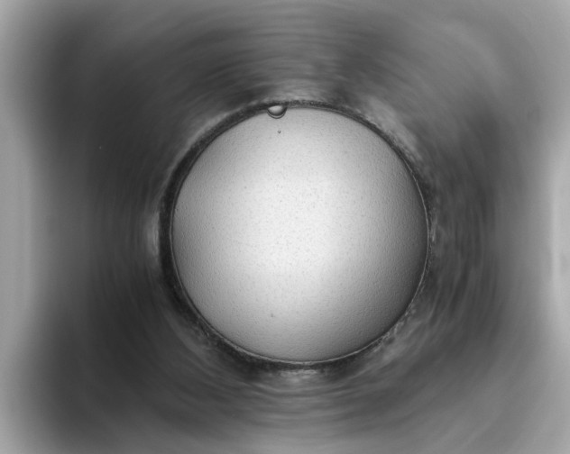 X0000093440108200710261049