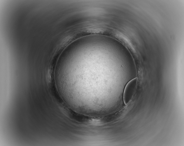 X0000093440114200710261048