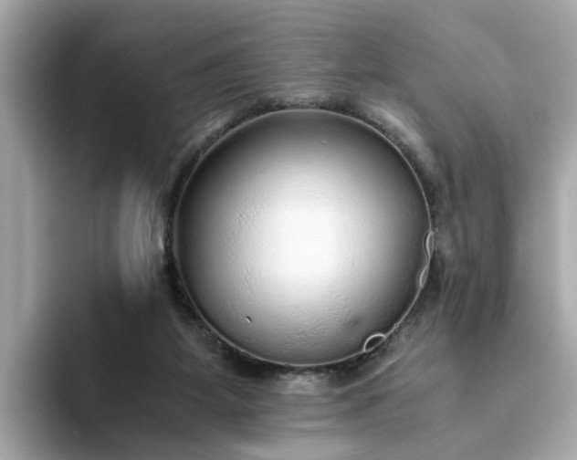 X0000093440115200710261048