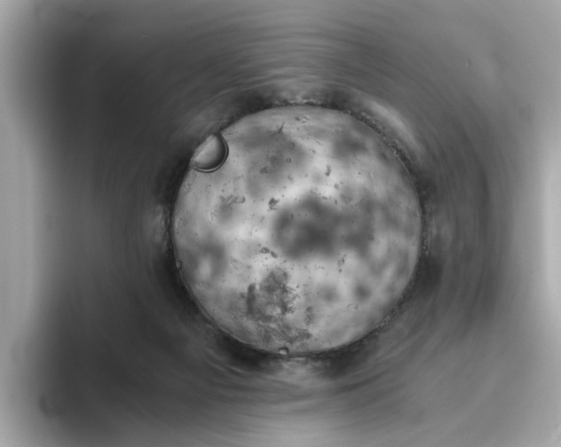 X0000093440121200710261048