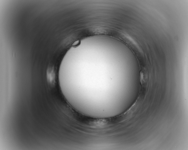 X0000093440124200710261048