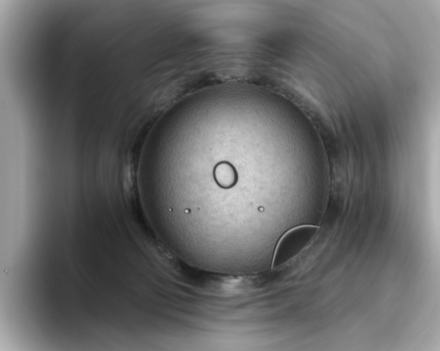 X0000093440130200710261048