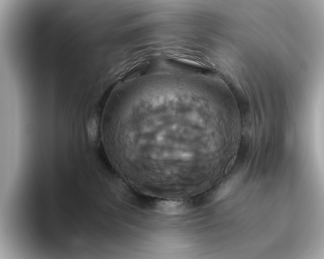 X0000093440139200710261048