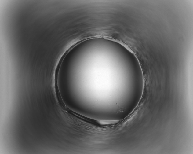 X0000093440148200710261047