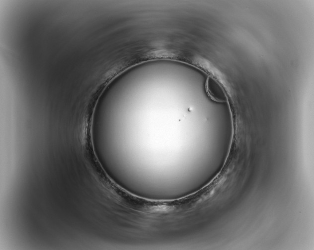 X0000093440153200710261047