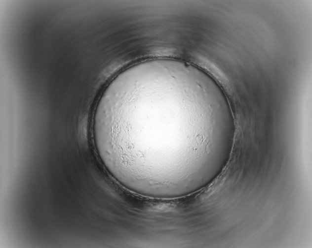 X0000093440155200710261047