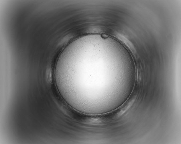 X0000093440157200710261047