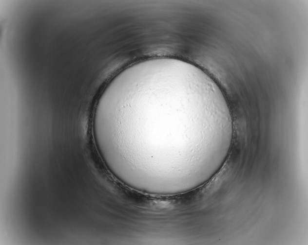 X0000093440159200710261047