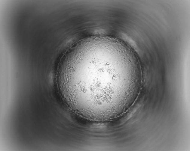 X0000093440161200710261047