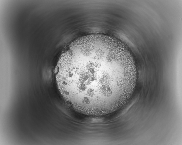 X0000093440165200710261047