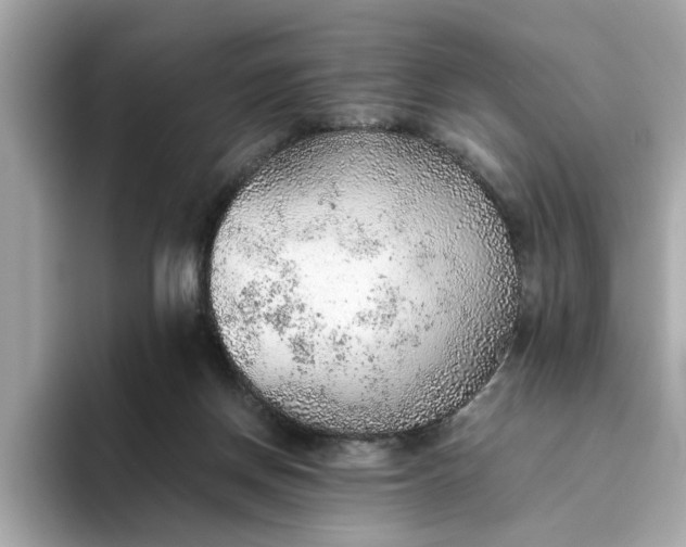 X0000093440166200710261048