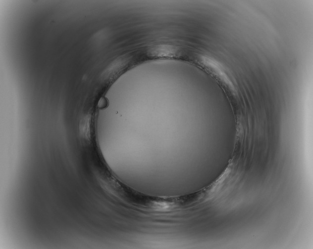 X0000093440167200710261048