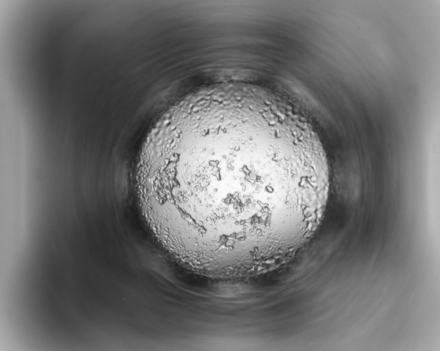 X0000093440169200710261048