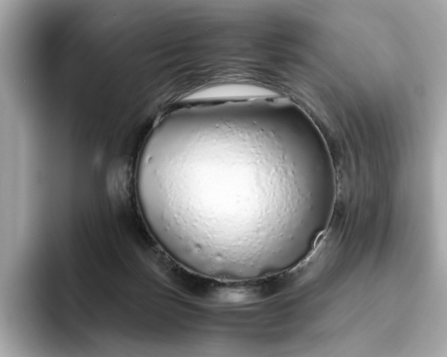 X0000093440171200710261048