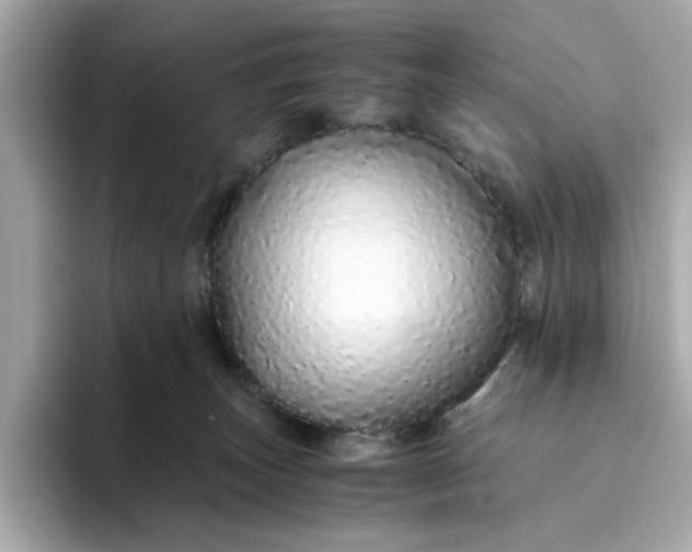 X0000093440179200710261048