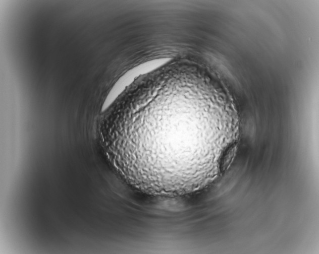 X0000093440185200710261048