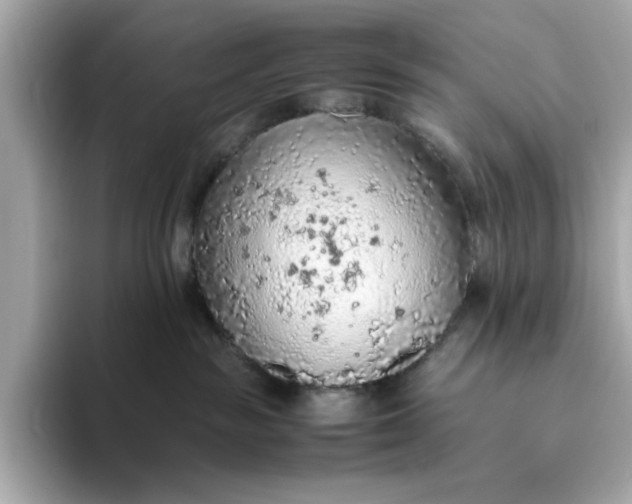 X0000093440189200710261048