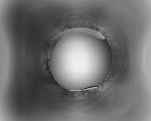 X0000093440192200710261048