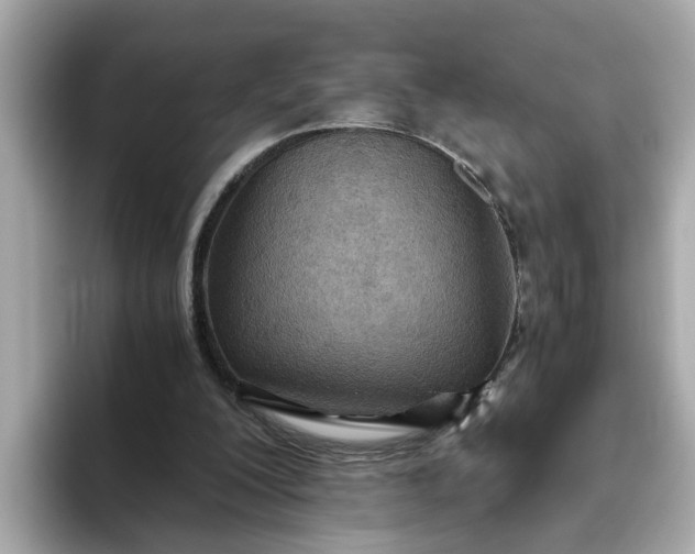 X0000093440200200710261047