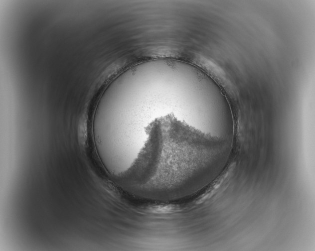 X0000093440202200710261047