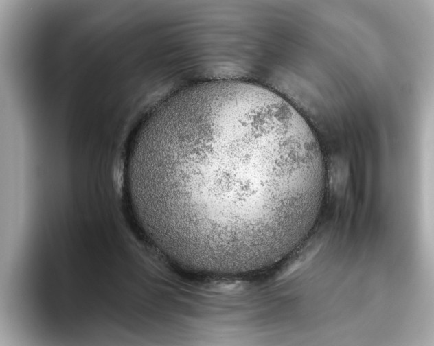 X0000093440206200710261047