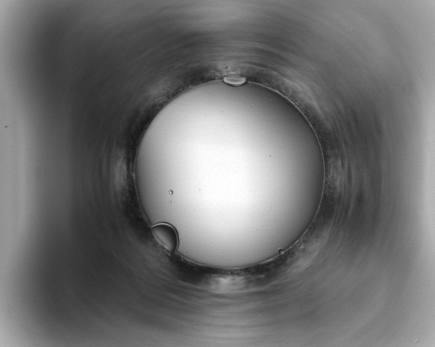 X0000093440220200710261047