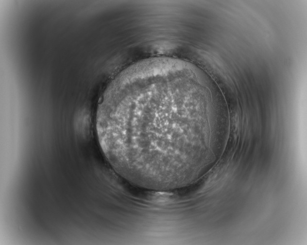 X0000093440222200710261047