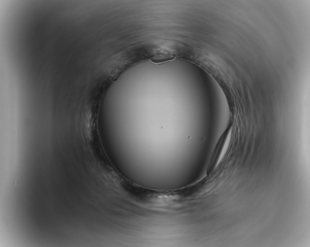 X0000093440223200710261047