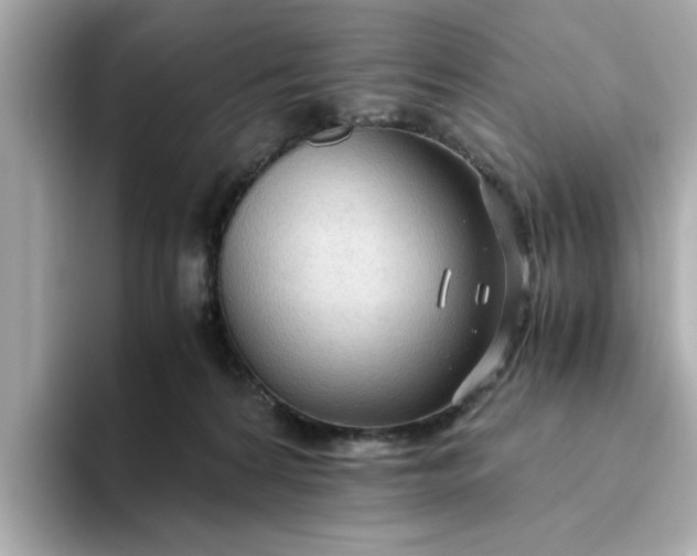 X0000093440224200710261047