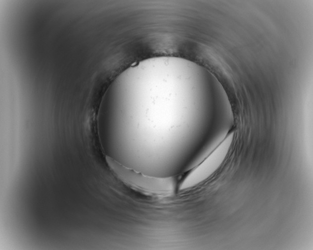 X0000093440229200710261047