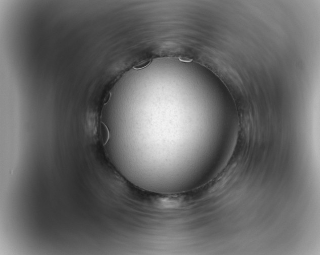 X0000093440232200710261047