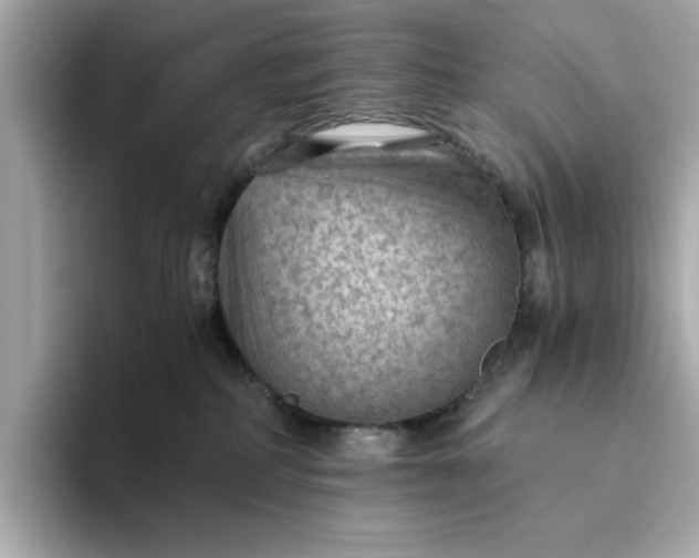 X0000093440234200710261046