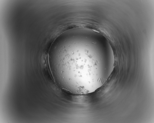 X0000093440237200710261046